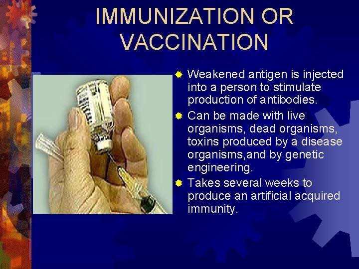 IMMUNIZATION OR VACCINATION Weakened antigen is injected into a person to stimulate production of
