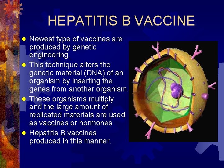 HEPATITIS B VACCINE Newest type of vaccines are produced by genetic engineering. ® This