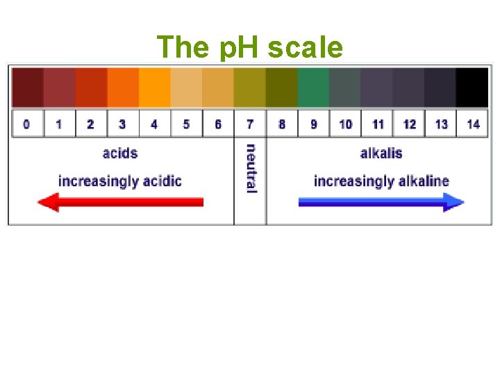 The p. H scale 