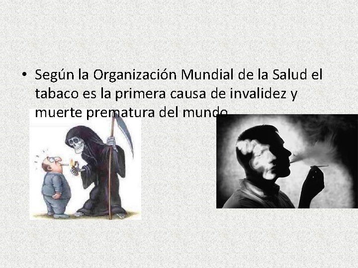 • Según la Organización Mundial de la Salud el tabaco es la primera