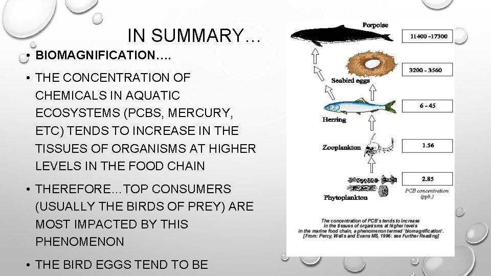 IN SUMMARY… • BIOMAGNIFICATION…. • THE CONCENTRATION OF CHEMICALS IN AQUATIC ECOSYSTEMS (PCBS, MERCURY,