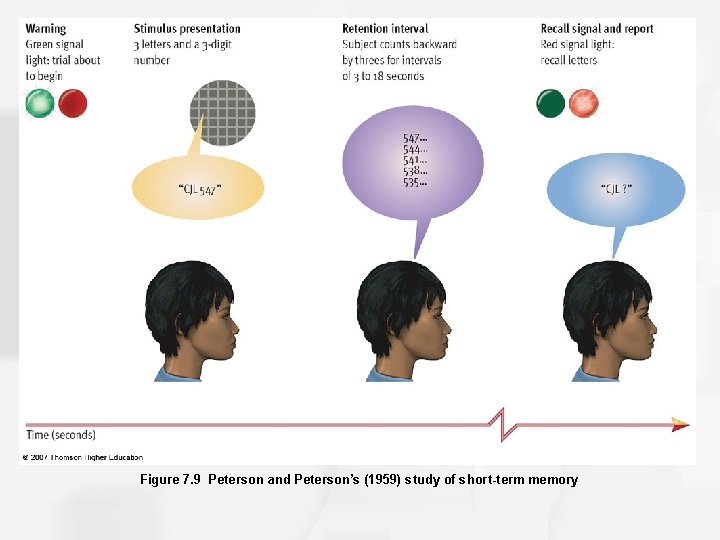 Figure 7. 9 Peterson and Peterson’s (1959) study of short-term memory 