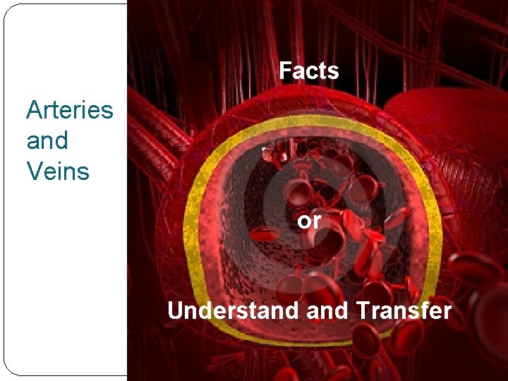 Facts Arteries and Veins or Understand Transfer 
