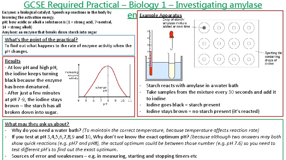 GCSE Required Practical – Biology 1 – Investigating amylase Enzyme: a biological catalyst. Speeds