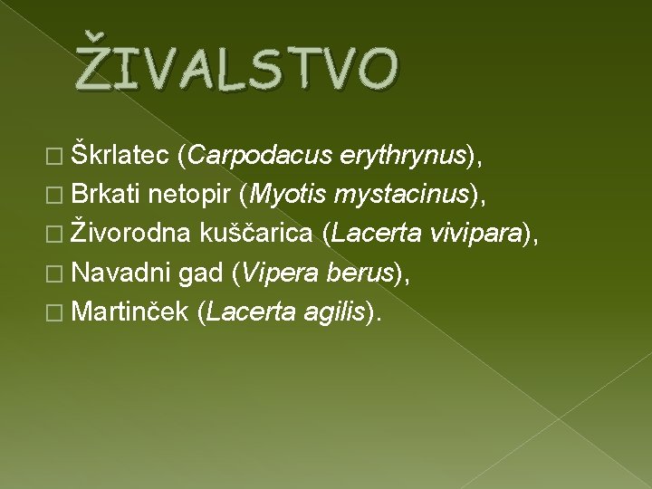 ŽIVALSTVO � Škrlatec (Carpodacus erythrynus), � Brkati netopir (Myotis mystacinus), � Živorodna kuščarica (Lacerta