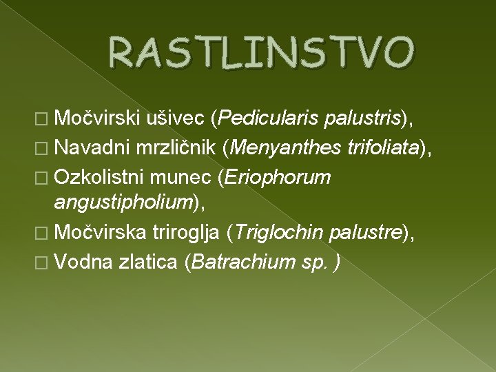 RASTLINSTVO � Močvirski ušivec (Pedicularis palustris), � Navadni mrzličnik (Menyanthes trifoliata), � Ozkolistni munec