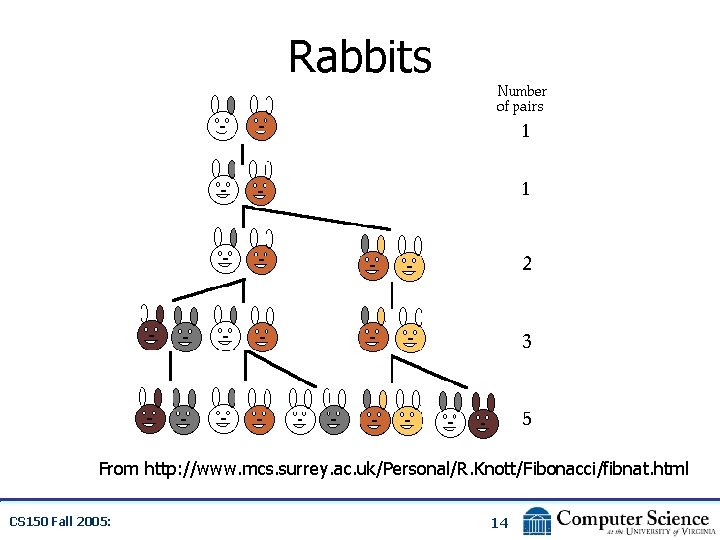 Rabbits From http: //www. mcs. surrey. ac. uk/Personal/R. Knott/Fibonacci/fibnat. html CS 150 Fall 2005: