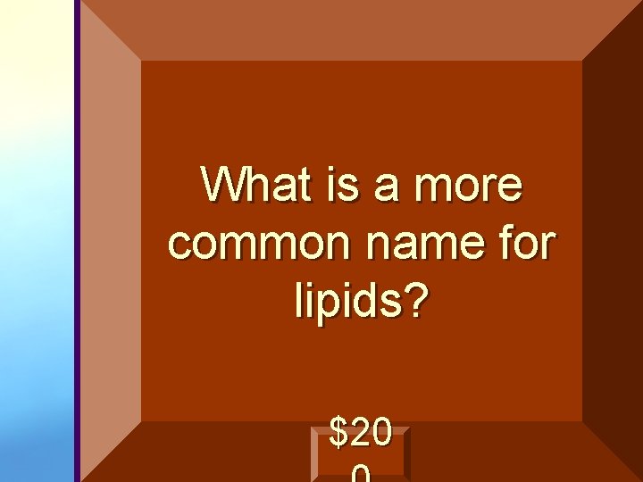 What is a more common name for lipids? $20 