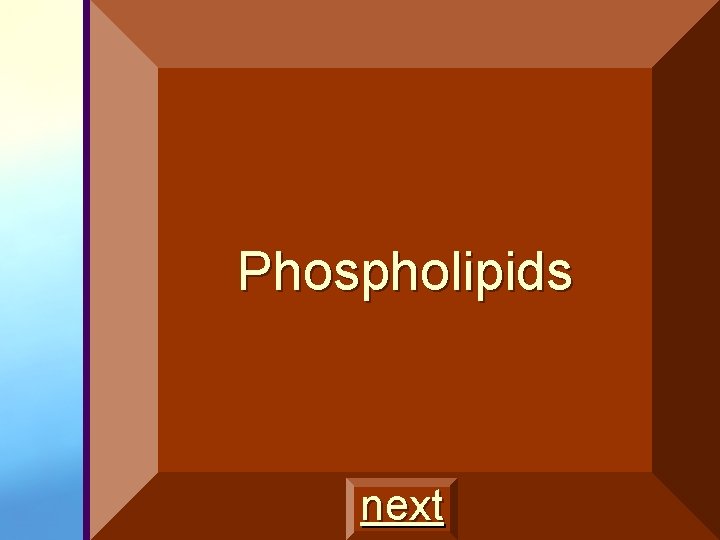 Phospholipids next 