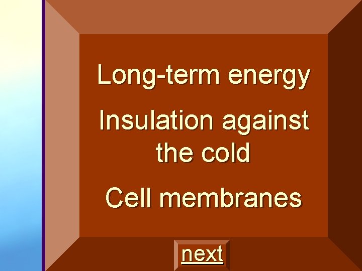 Long-term energy Insulation against the cold Cell membranes next 