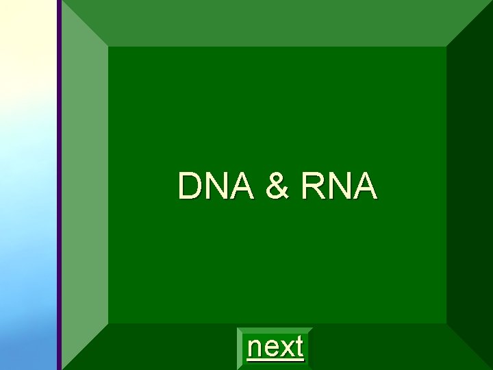 DNA & RNA next 