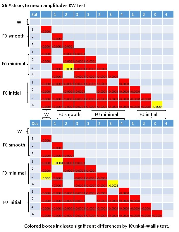 S 6 Astrocyte mean amplitudes KW test Sal 1 2 3 4 W 1