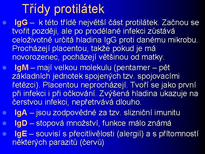 Třídy protilátek l l l Ig. G – k této třídě největší část protilátek.