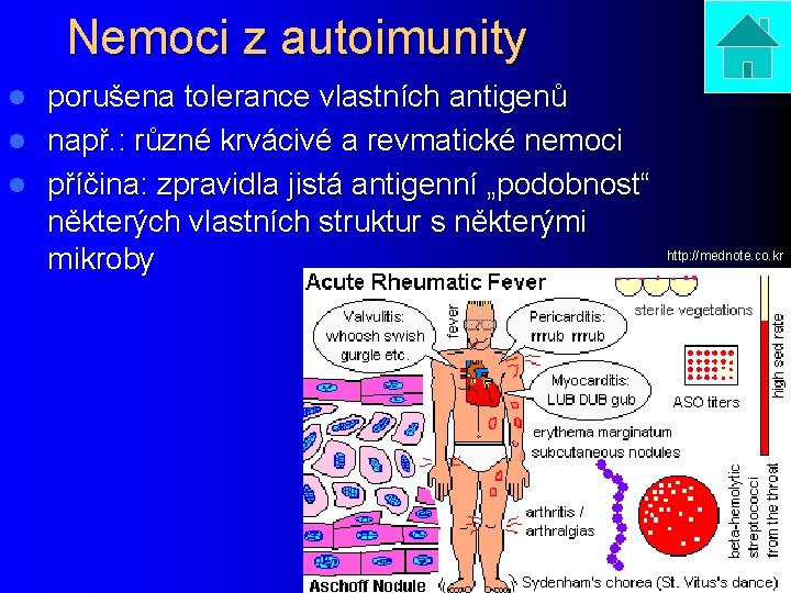 Nemoci z autoimunity porušena tolerance vlastních antigenů l např. : různé krvácivé a revmatické