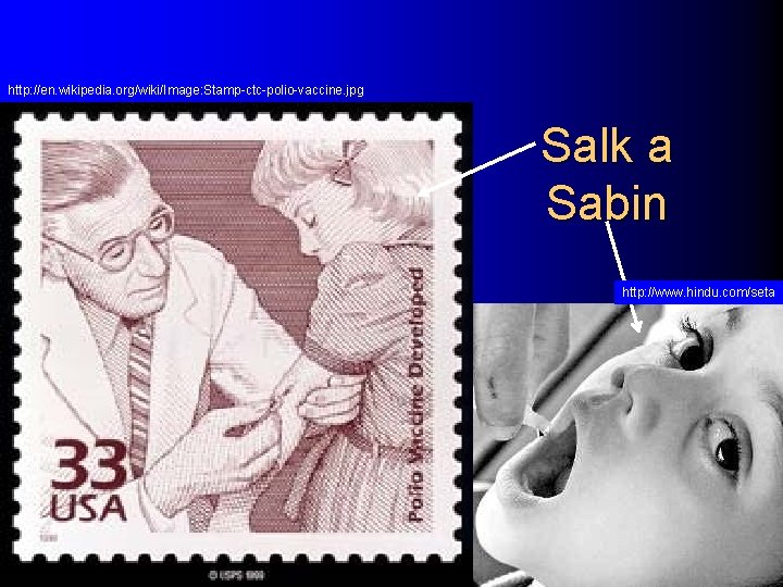 http: //en. wikipedia. org/wiki/Image: Stamp-ctc-polio-vaccine. jpg Salk a Sabin http: //www. hindu. com/seta 