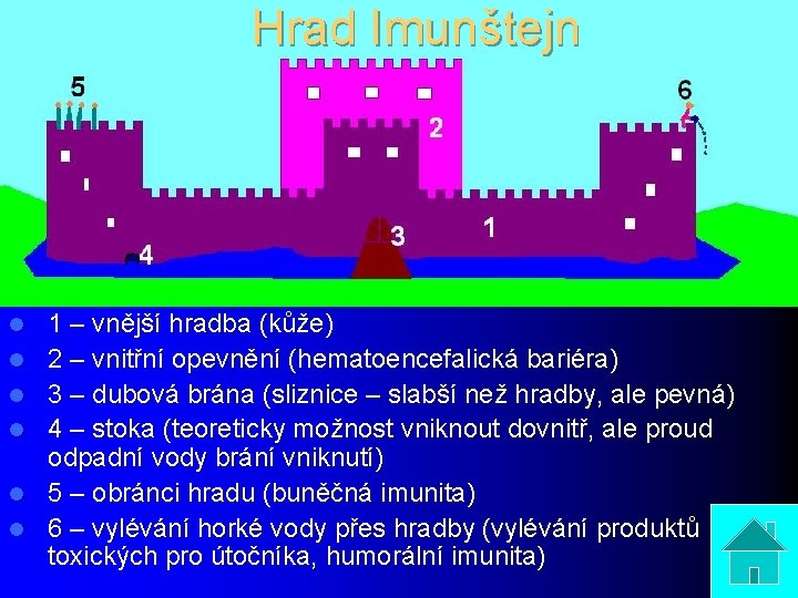 Hrad Imunštejn l l l 1 – vnější hradba (kůže) 2 – vnitřní opevnění