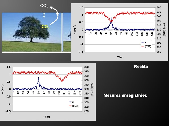 CO 2 ⋁ ⋁ CO 2 Réalité Mesures enregistrées 