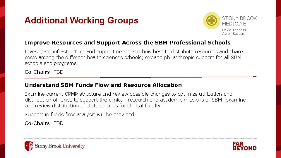 Additional Working Groups STONY BROOK MEDICINE David Thanassi Aaron Sasson Improve Resources and Support