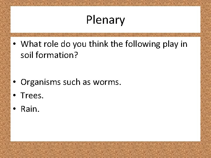 Plenary • What role do you think the following play in soil formation? •