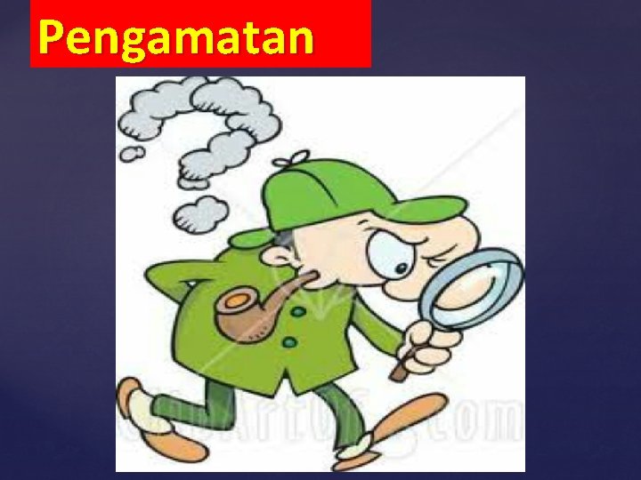 Pengamatan { 