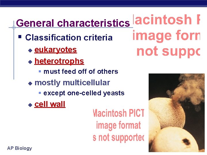 General characteristics § Classification criteria eukaryotes u heterotrophs u § must feed off of