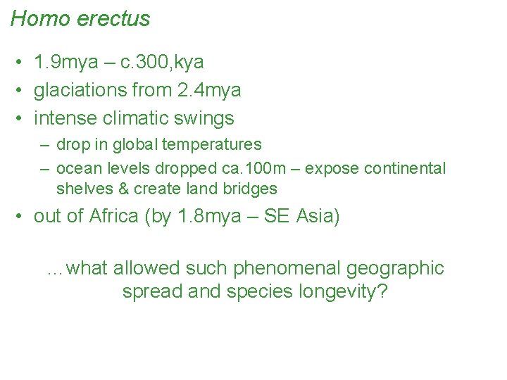 Homo erectus • 1. 9 mya – c. 300, kya • glaciations from 2.