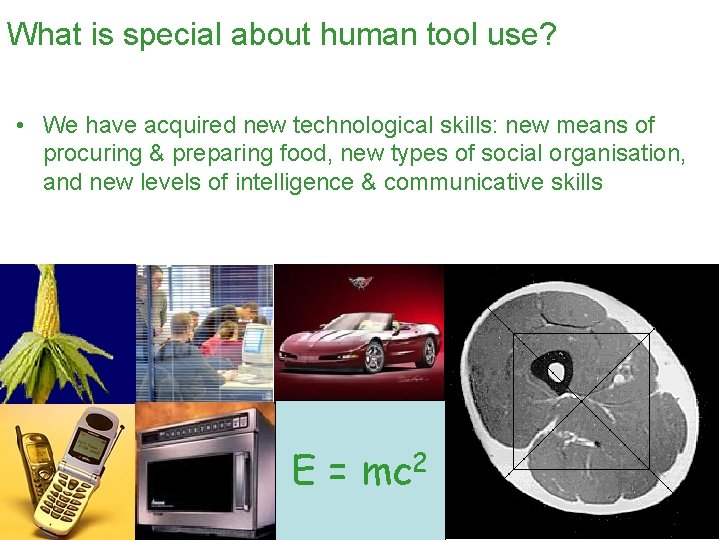 What is special about human tool use? • We have acquired new technological skills: