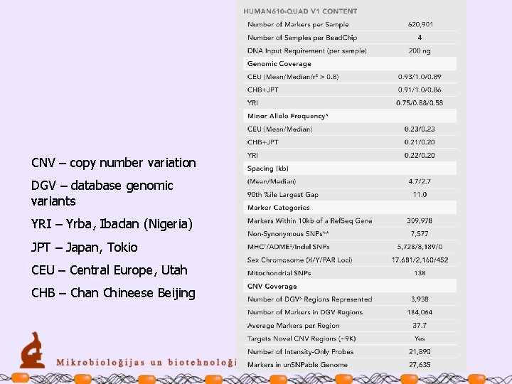 CNV – copy number variation DGV – database genomic variants YRI – Yrba, Ibadan