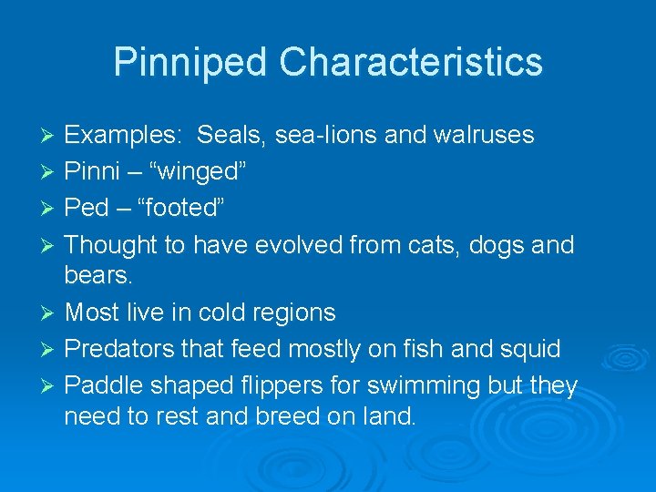 Pinniped Characteristics Examples: Seals, sea-lions and walruses Ø Pinni – “winged” Ø Ped –