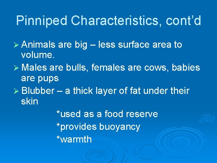 Pinniped Characteristics, cont’d Ø Animals are big – less surface area to volume. Ø