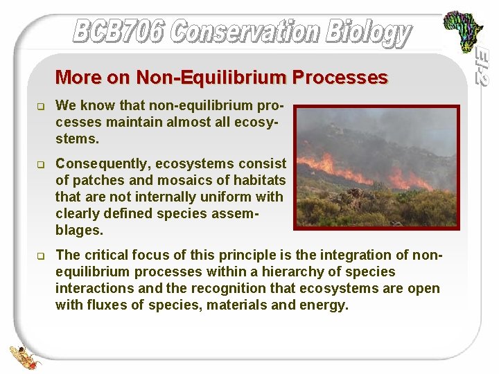 More on Non-Equilibrium Processes q We know that non-equilibrium processes maintain almost all ecosystems.