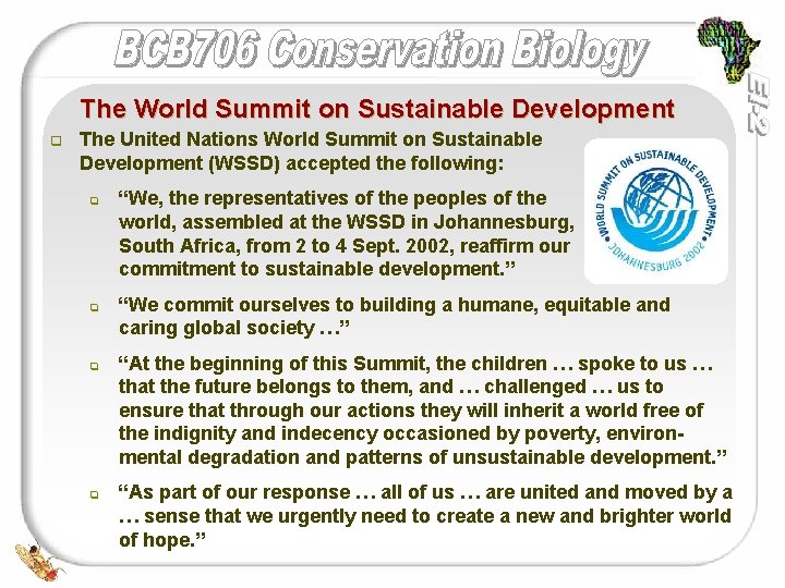 The World Summit on Sustainable Development q The United Nations World Summit on Sustainable