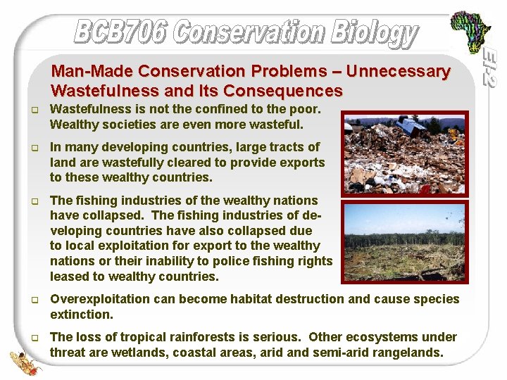 Man-Made Conservation Problems – Unnecessary Wastefulness and Its Consequences q Wastefulness is not the