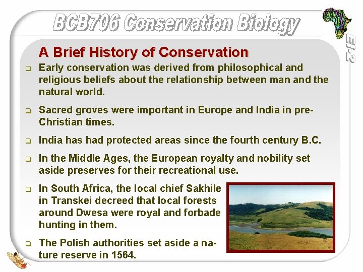 A Brief History of Conservation q Early conservation was derived from philosophical and religious