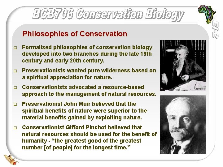 Philosophies of Conservation q Formalised philosophies of conservation biology developed into two branches during