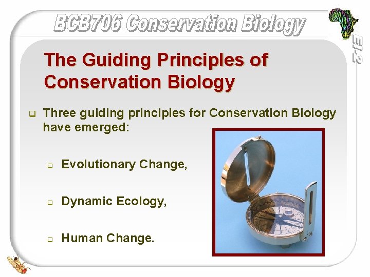 The Guiding Principles of Conservation Biology q Three guiding principles for Conservation Biology have