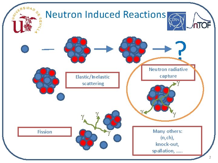 Neutron Induced Reactions ? Neutron radiative capture Elastic/Inelastic scattering g Fission g g g
