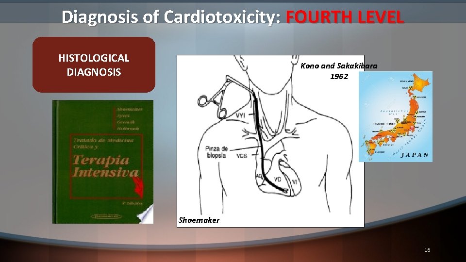 Diagnosis of Cardiotoxicity: FOURTH LEVEL HISTOLOGICAL DIAGNOSIS Kono and Sakakibara 1962 Shoemaker 16 