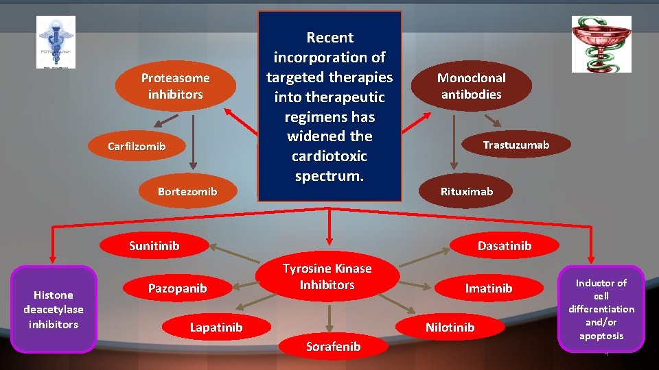 Proteasome inhibitors Carfilzomib Bortezomib Recent incorporation of targeted therapies into therapeutic regimens Hygea has