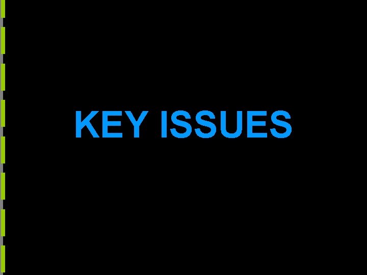 KEY ISSUES 