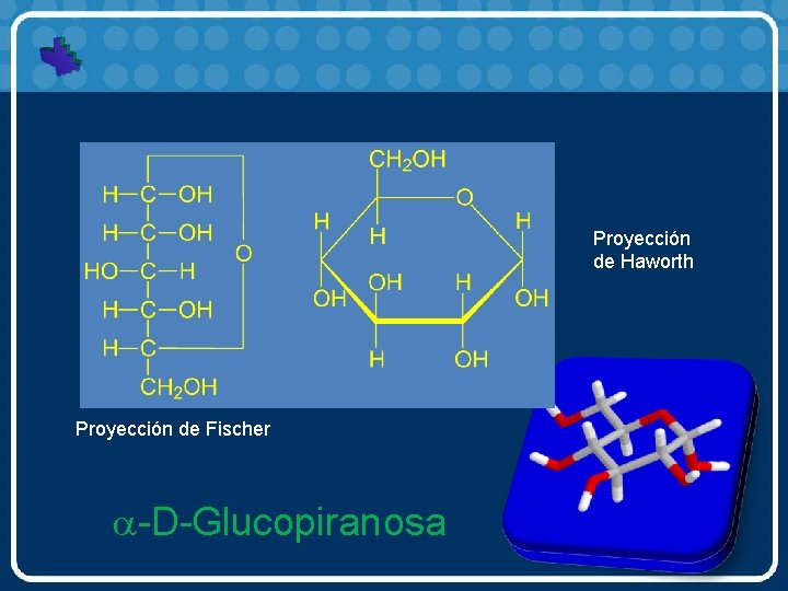 Proyección de Haworth Proyección de Fischer a-D-Glucopiranosa 