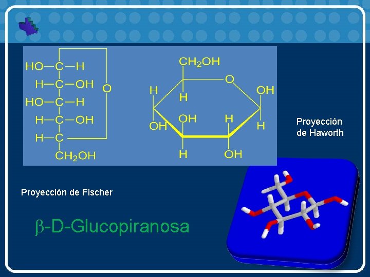 Proyección de Haworth Proyección de Fischer b-D-Glucopiranosa 