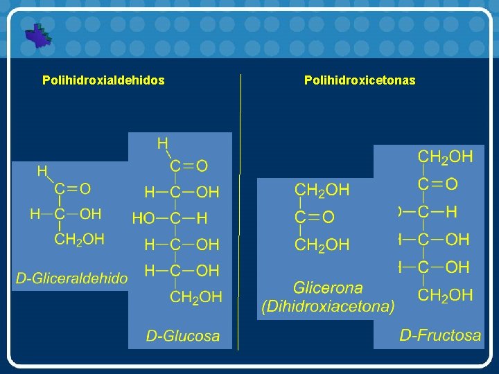 Polihidroxialdehidos Polihidroxicetonas 