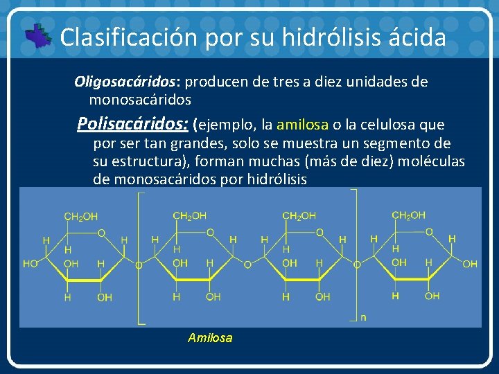 Clasificación por su hidrólisis ácida Oligosacáridos: producen de tres a diez unidades de monosacáridos