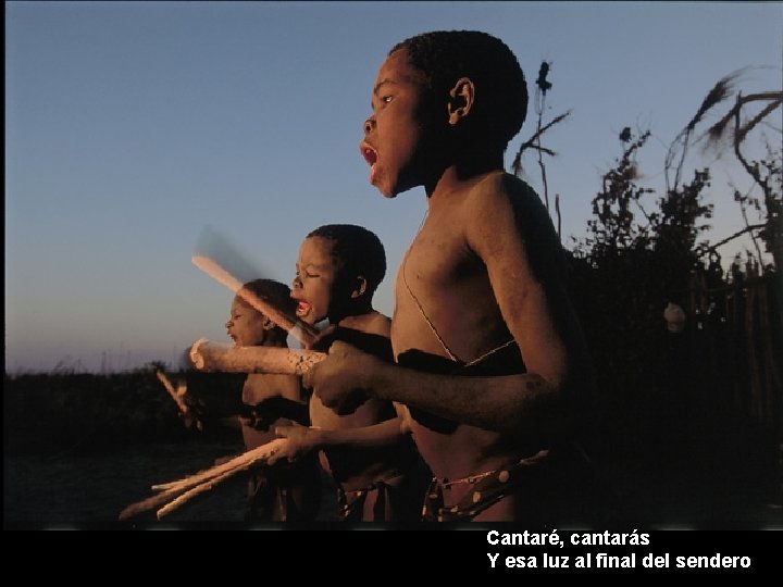 Cantaré, cantarás Y esa luz al final del sendero 