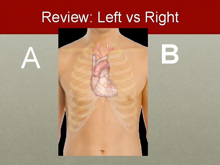 Review: Left vs Right A B 