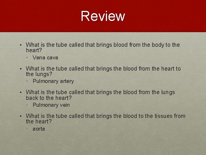 Review • What is the tube called that brings blood from the body to