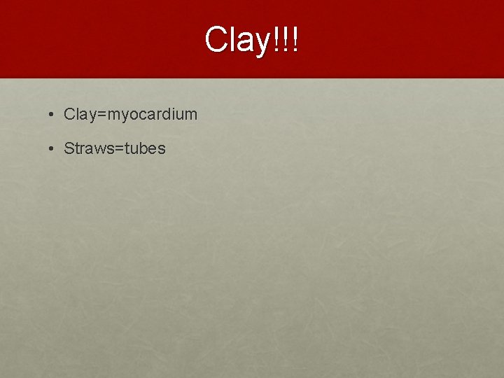 Clay!!! • Clay=myocardium • Straws=tubes 