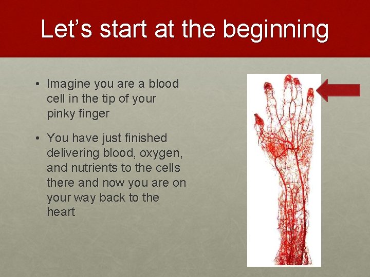 Let’s start at the beginning • Imagine you are a blood cell in the