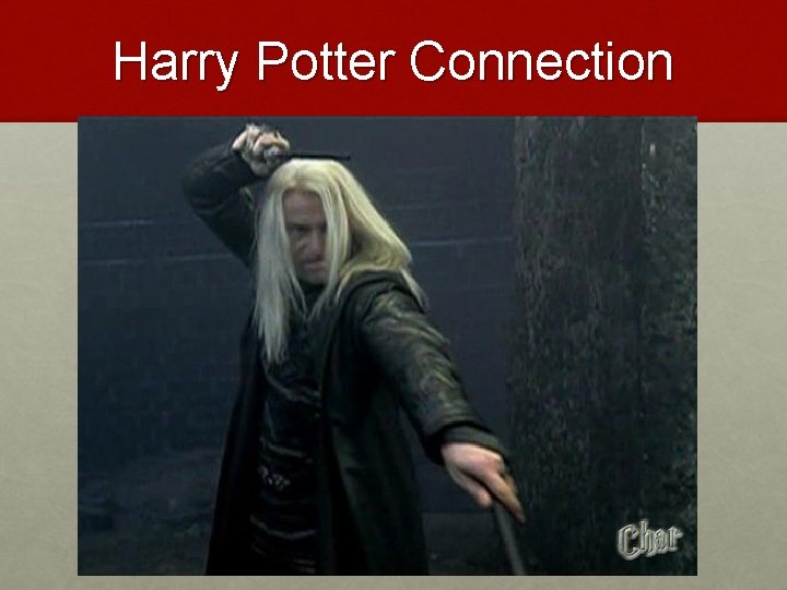 Harry Potter Connection 